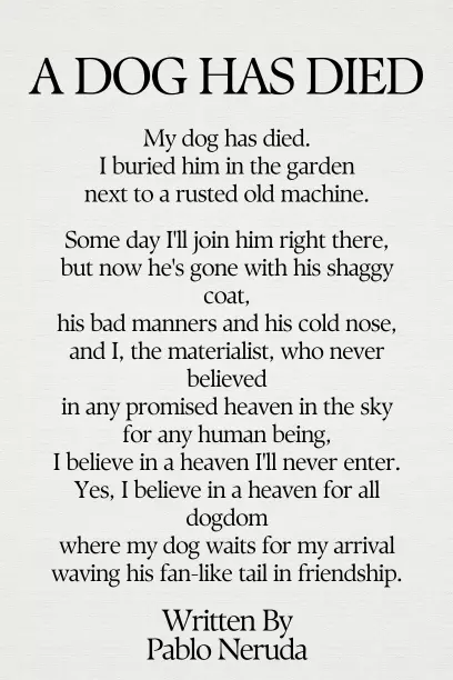 A Dog Has Died